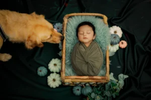 A baby is laying in a basket with a golden retriever.